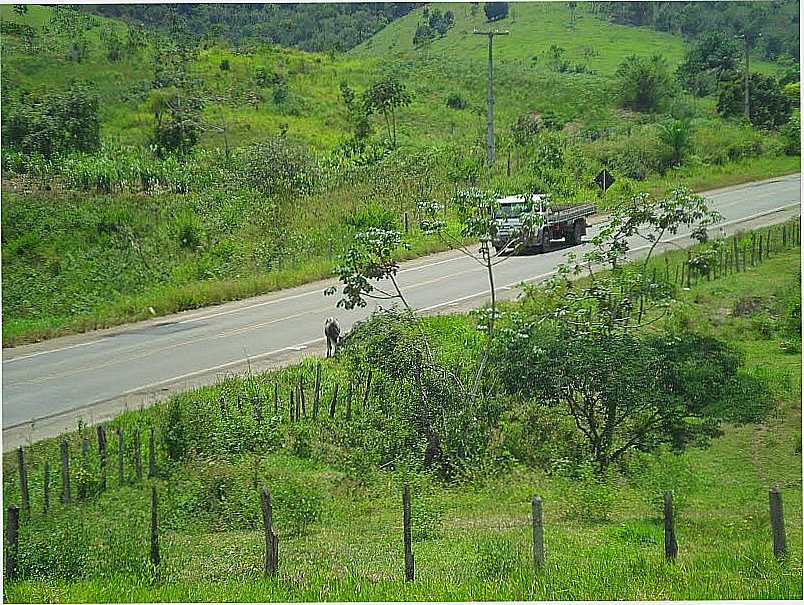 JITANA-BA-RODOVIA BR-330-FOTO:ELIEZER PEDREIRA SANTOS - JITANA - BA