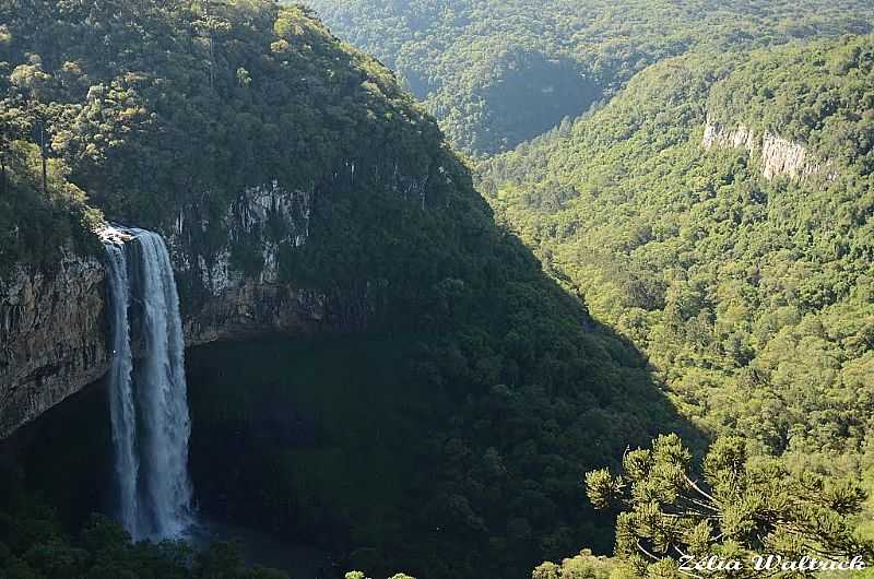 CANELA-RS-CASCATA DO CARACOL-FOTO:ZELIA WALTRICK  - CANELA - RS