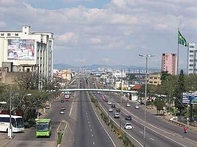 AVENIDA - FOTO:ECO.PATAS - CANOAS - RS