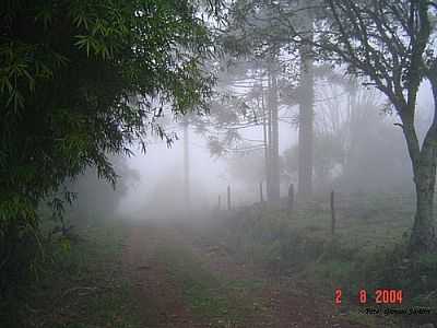NEBLINA EM ESTRADA DO INTERIOR-GIOVANI JOO SARTORI - CANUDOS DO VALE - RS
