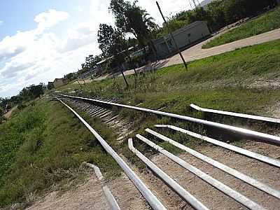 TRILHOS-FOTO:LEOK.RS  - CAPO DO LEO - RS