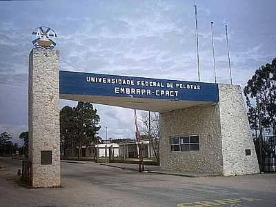 PRTICO DO CAMPUS DA UFPEL-FOTO:UBIRAJARA CRUZ  - CAPO DO LEO - RS