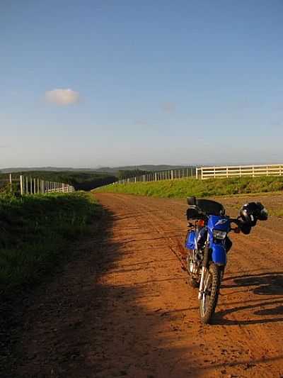 IMAGEM-FOTO:DANIELPGAUER  - CAPELA DE SANTANA - RS