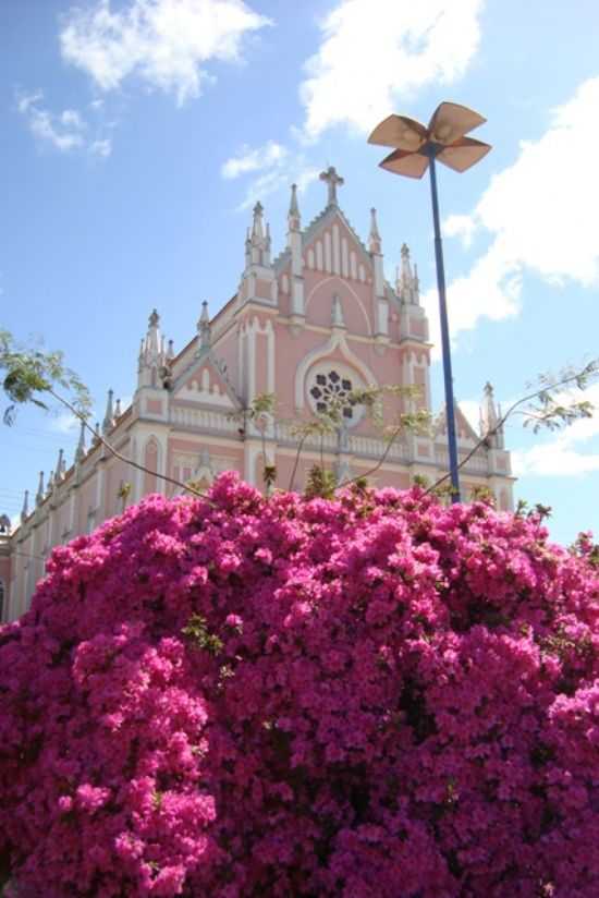 AZALIA E IGREJA SO LUIZ, POR LAURO FINATTO - CASCA - RS
