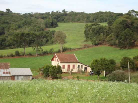 PROPRIEDADE RURAL DE DESCENDENTES DE ITALIANOS, POR LAURO FINATTO - CASCA - RS