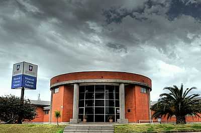 MUSEU DE CINCIAS NATURAIS DA UNIVERSIDADE DE CAXIAS DO SUL-FOTO:GERMANO SCHR  - CAXIAS DO SUL - RS