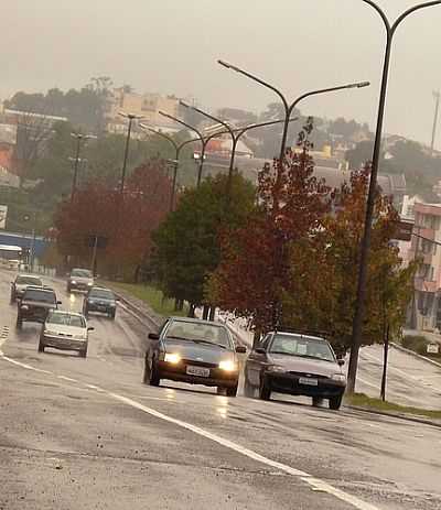 RUA DE CAXIAS DO SUL- JAKZA - CAXIAS DO SUL - RS