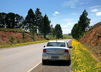 ROTA DO SOL-POR GERMANO SCHR - CAXIAS DO SUL - RS
