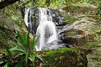 CACHOEIRA DO RIACHO-FOTO:GELSON MACEDO  - CERRITO ALEGRE - RS