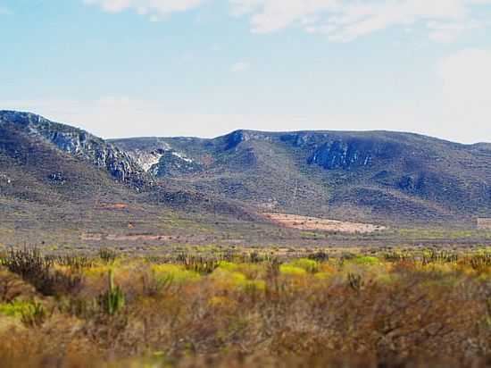 REGIO DE JUACEMA-BA-FOTO:HEBERTEGUEDES - JUACEMA - BA