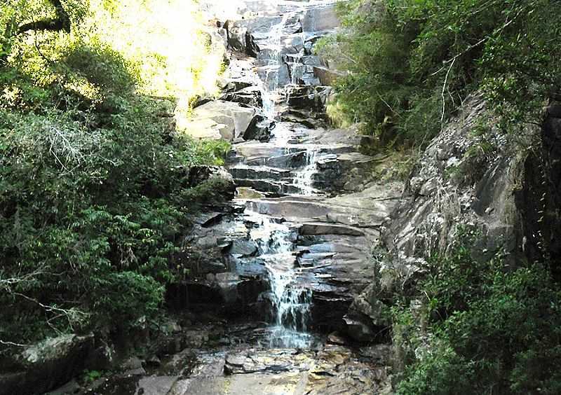 IMAGENS DE CERRO GRANDE DO SUL - RS FOTO PREFEITURA MUNICIPAL - CERRO GRANDE DO SUL - RS