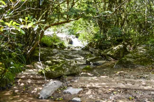 CACHOEIRA LOMBA DO AGRIO CERRO GRANDE DO SUL, POR ANDRIA SOLKA - CERRO GRANDE DO SUL - RS