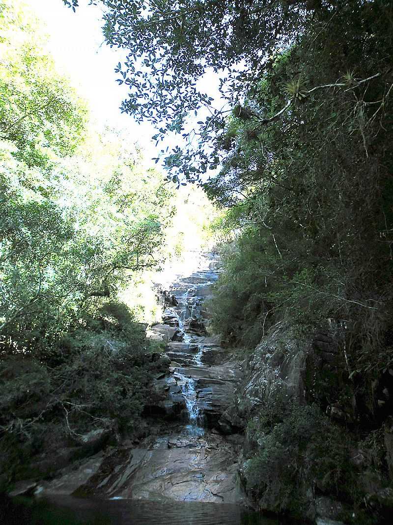 IMAGENS DE CERRO GRANDE DO SUL - RS FOTO PREFEITURA MUNICIPAL - CERRO GRANDE DO SUL - RS