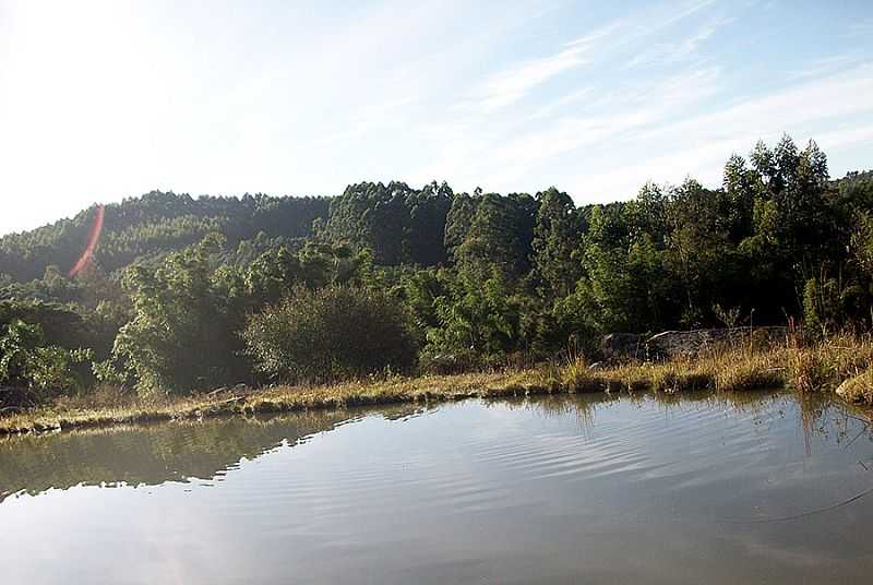 IMAGENS DE CERRO GRANDE DO SUL - RS FOTO PREFEITURA MUNICIPAL - CERRO GRANDE DO SUL - RS