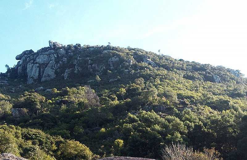 IMAGENS DE CERRO GRANDE DO SUL - RS FOTO PREFEITURA MUNICIPAL - CERRO GRANDE DO SUL - RS