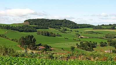 PAISAGEM RURAL-FOTO:CMRECH - CHARRUA - RS