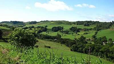 PAISAGEM RURAL EM CHARRUA-FOTO:CMRECH - CHARRUA - RS