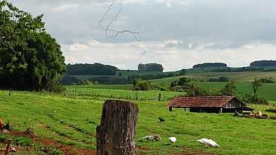 PAISAGEM RURAL-FOTO:CMRECH - CHARRUA - RS