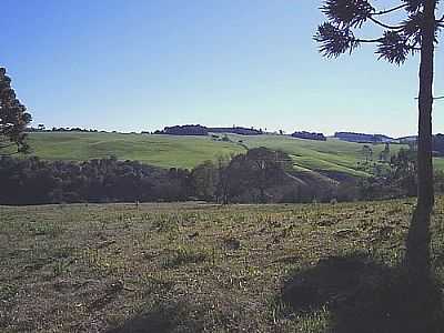 PAISAGEM RURAL-FOTO:CRISTIANO DALLA-ROS - CIRACO - RS