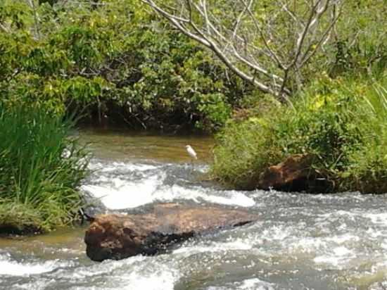 CACHOEIRA DE FARINHA LAVADA DIST. DE JUCURUU, POR PEBINHA ALVES - JUCURUU - BA