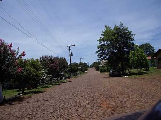 RUA ARBORIZADA EM COLNIA DAS ALMAS-FOTO:FBIO LUCCA - COLNIA DAS ALMAS - RS