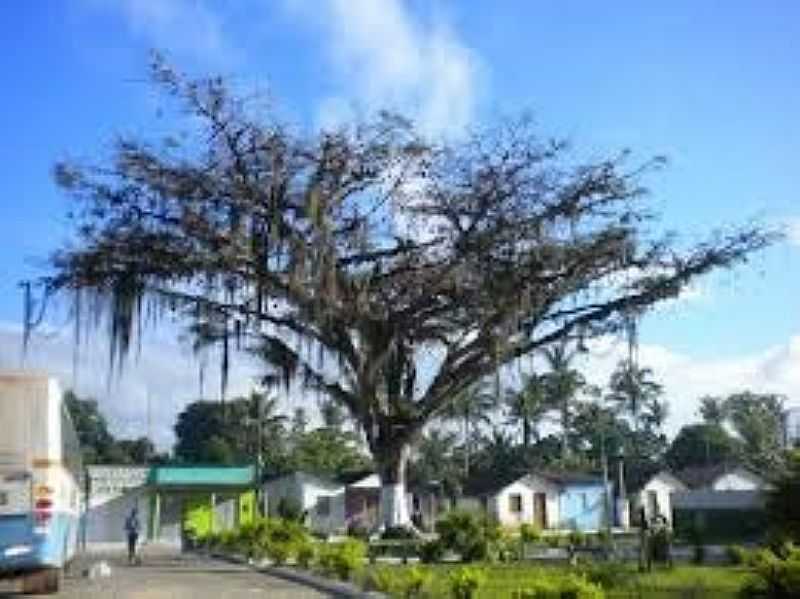 IMAGENS DA LOCALIDADE DE JUERANA DISTRITO DE CARAVELAS - BA - JUERANA - BA