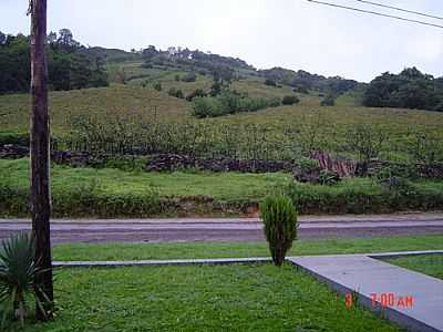 PAISAGEM RURAL- ELTONSTRADA - CORONEL PILAR - RS