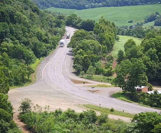 RODOVIA BR 153 EM CORONEL TEIXEIRA-FOTO:AURI BRANDO - CORONEL TEIXEIRA - RS