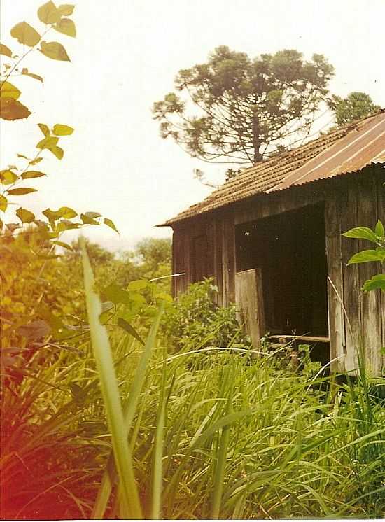 COTIPOR-RS-CASA DE IMIGRANTES EM REA RURAL-FOTO:ADAO WONS - COTIPOR - RS