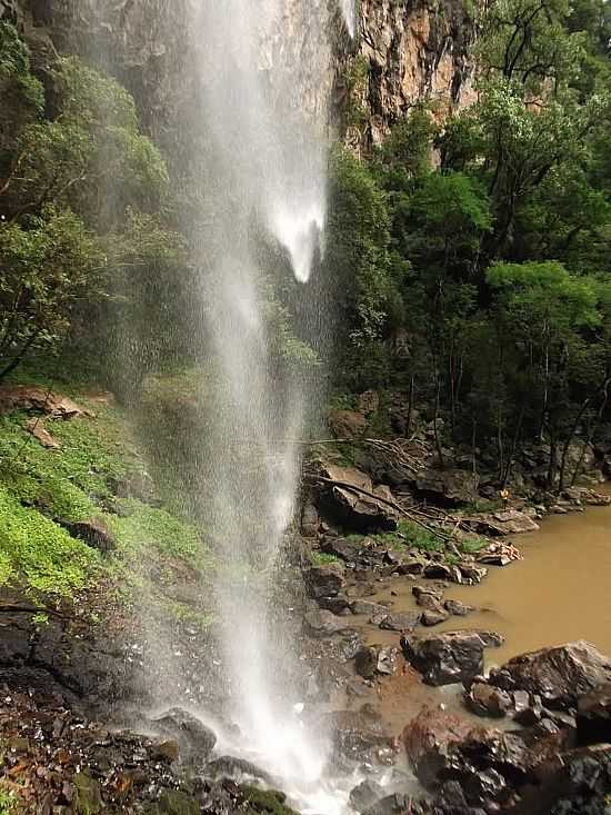 COTIPOR-RS-CASCATA DOS MARINS-FOTO:ADAO WONS  - COTIPOR - RS