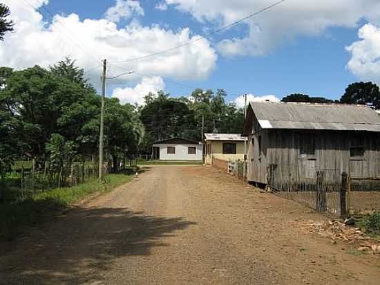 RUA DE COXILHA GRANDE-FOTO:FBIO P. HOFFMANN - COXILHA GRANDE - RS