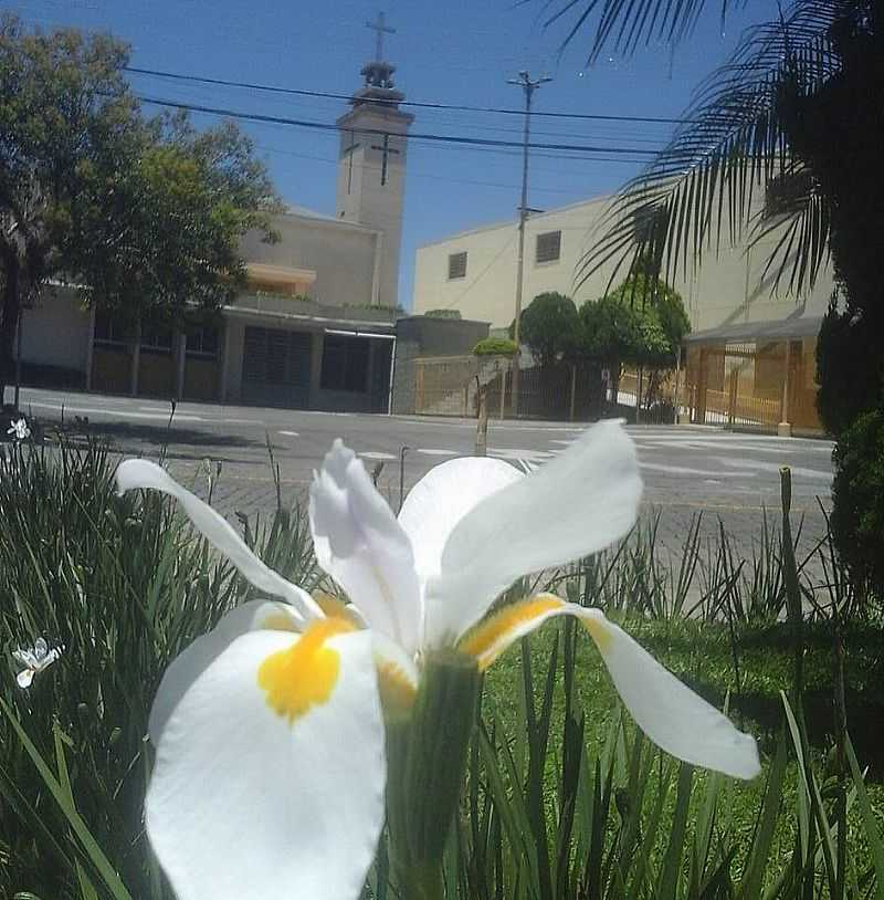 IMAGENS DO BAIRRO CRUZEIRO, MUNICPIO DE CAXIAS DO SUL/RS - CRUZEIRO - RS