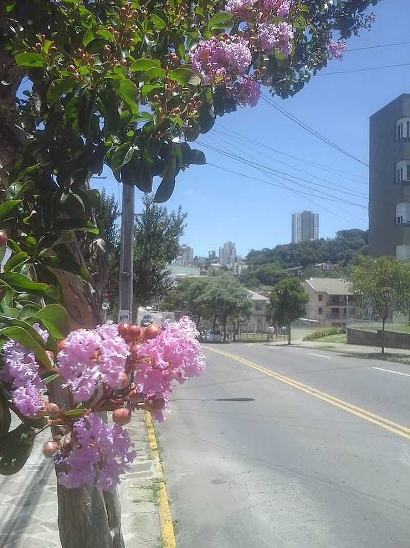 IMAGENS DO BAIRRO CRUZEIRO, MUNICPIO DE CAXIAS DO SUL/RS - CRUZEIRO - RS