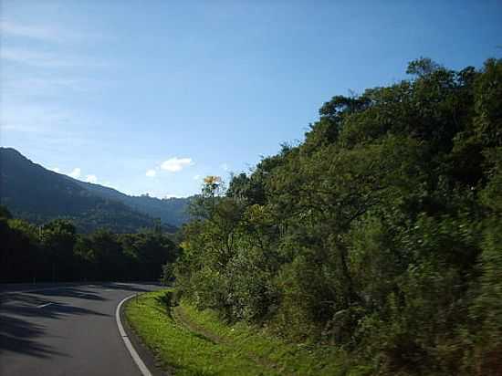 RODOVIA NA SERRA EM DOIS IRMOS-RS-FOTO:ELISA NASCIMENTO - DOIS IRMOS - RS