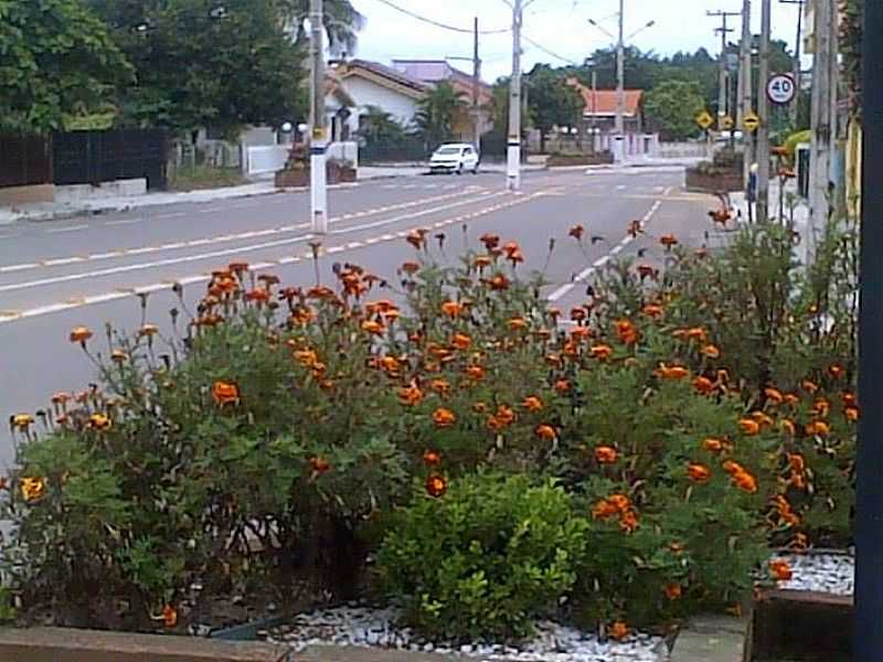 IMAGENS DA CIDADE DE DONA FRANCISCA - RS - DONA FRANCISCA - RS