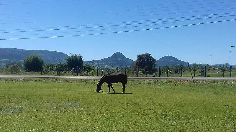 IMAGENS DA CIDADE DE DONA FRANCISCA - RS - DONA FRANCISCA - RS