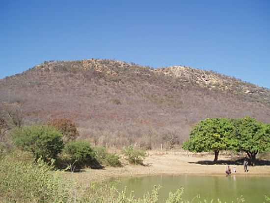 JUSSARA-BA-MORRO DA FOME-FOTO:MANDACARU-CHAPADA. - JUSSARA - BA