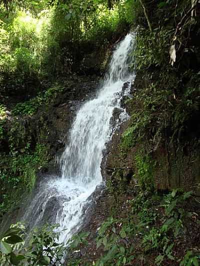 CASCATINHA AO LADO DA GRUTA-FOTO:CLEBERTONDB  - DOUTOR RICARDO - RS