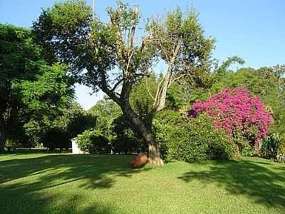 IMAGEM-FOTO:EMILIANO HOMRICH - ELDORADO DO SUL - RS