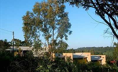 HOUSE AND WORKSHOP-FOTO:MAURO FUKE  - ELDORADO DO SUL - RS