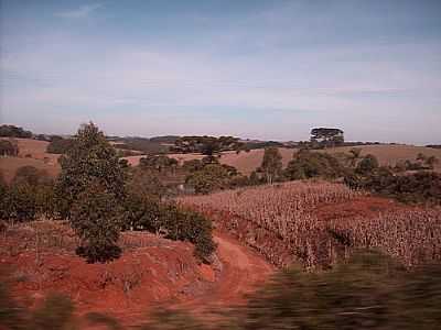 CAMPOS PRXIMOS DE EREBANGO-FOTO:THIAGO DAMBROS  - EREBANGO - RS