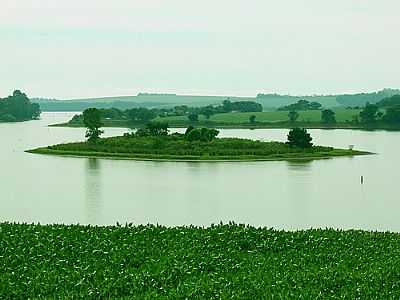 ILHA DA BARRAGEM DE ERNESTINA-FOTO:CPINZON - ERNESTINA - RS