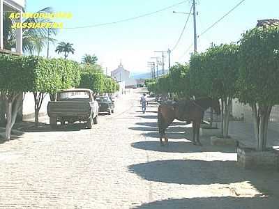 POR LEANDRO SOUZA MEDRADO (PANORAMIO) - JUSSIAPE - BA