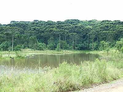 LAGOA-FOTO:CAIOFLAVIO  - ERVEIRAS - RS