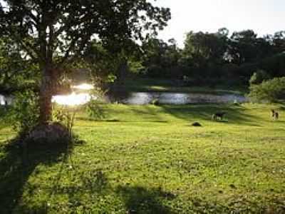AUDE-FOTO:J.TADEU  - ESPIGO - RS