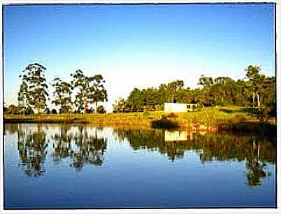 AUDE-FOTO:J.TADEU  - ESPIGO - RS