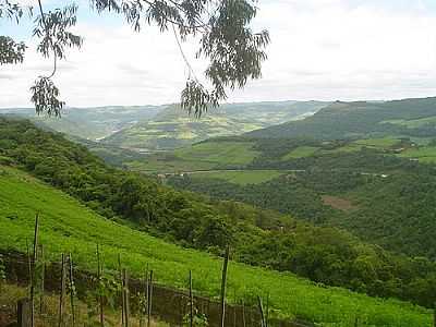 MORRO DOS BAIANOS-FOTO:LUIZ ANTONIO TESSER  - FARIA LEMOS - RS