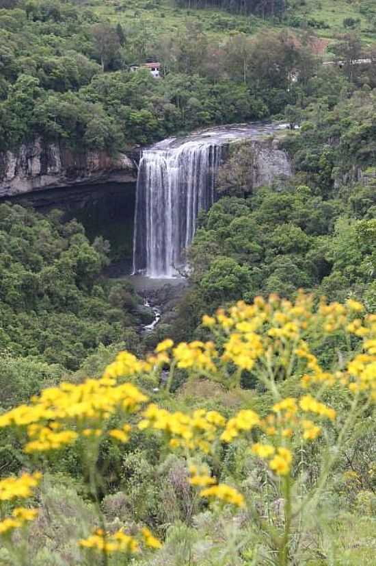 SALTO VENTOSO FOTO
JULIO DAL MONTE - FARROUPILHA - RS