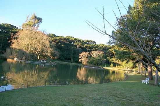 PARQUE DOS PINHEIROS 
FOTO DER TONDELLO - FARROUPILHA - RS