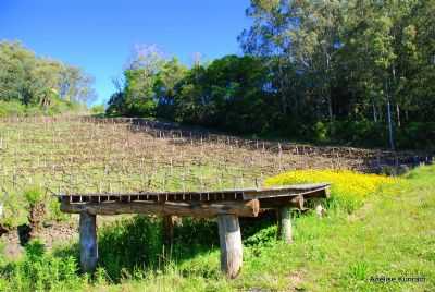 PRIMAVERA NO VALE TRENTINO, FARROUPILHA-RS, , POR ANELISE  KUNRATH - FARROUPILHA - RS